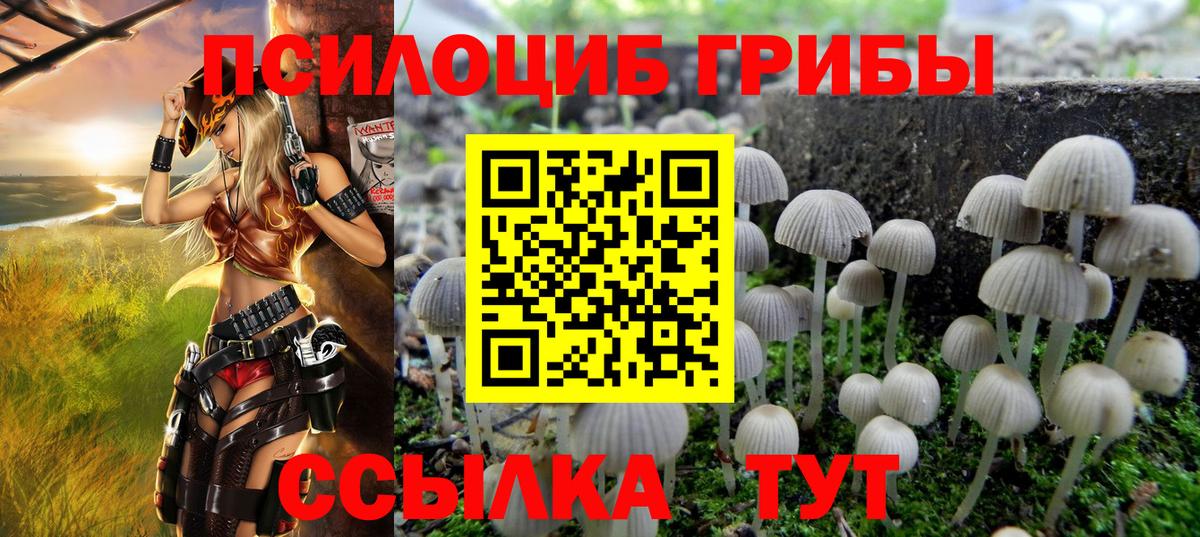 Обнинск  Галлюциногенные грибы MAGIC MUSHROOMS  Галлюциногенные грибы прущие грибы  Вход с VPN 